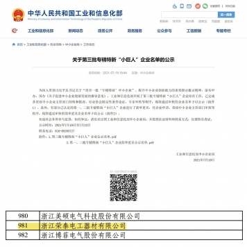 國家級“專精特新”小巨人企業(yè)